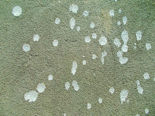 
The surface of the wall of the building. Blurred defocused background for web design.