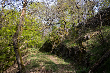 Pfälzer Wald und Donnersberg
