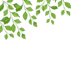 background with green leaves and branches with space for text. painted leaves on a white background isolated watercolors
