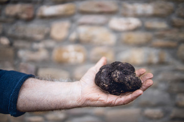A man is holding a black truffle in front of a stone wall.
