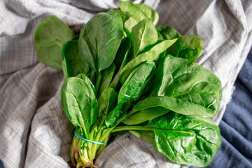 spinach leaves on a white background