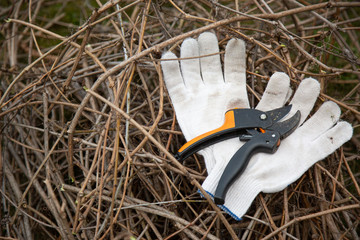 Garden gloves with garden secateur for working in the garden on a pile of cut branches