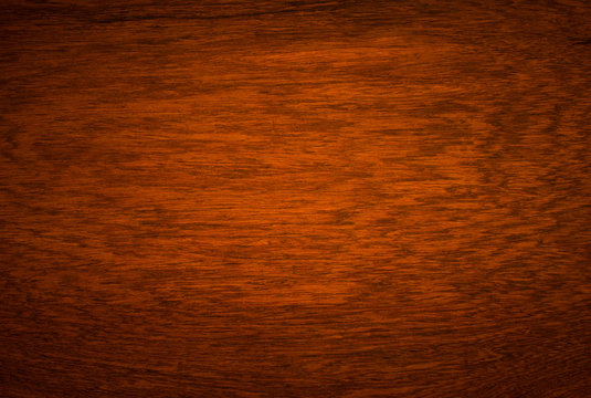 background and texture of Macro Ormosia wood