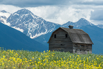 Fototapeta premium Old Barn With Mountain Backdrop