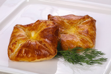 Hot tasty pie with cheese