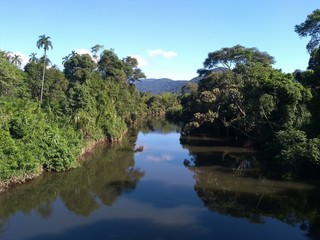 Fototapeta premium Lindo rio com matas a margem e céu azul ao fundo