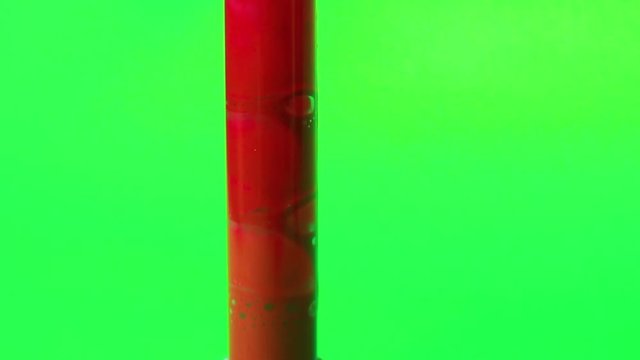 Toma sanguinea