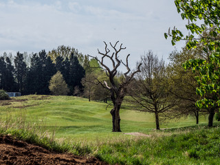 EMPTY GOLF COURSE DURING LOCK DOWN 2020