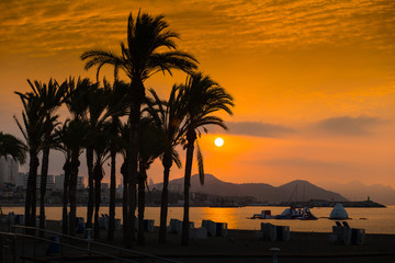 Obraz premium PAISAJE DE PALMERAS ATARDECIENDO EN VILLAJOYOSA