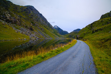 road among the fjords Lofoten islands in the north of norway