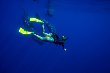 Obraz na płótnie Canvas Snorkeling with whales
