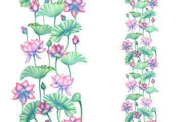 Seamless border with lotus flowers. Pencil water lily border. Frame with indian lotus flowers. Botanical illustration. Floral pattern with lily.