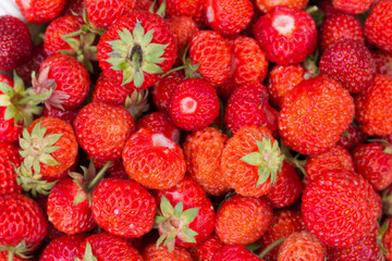 Red strawberries summer background