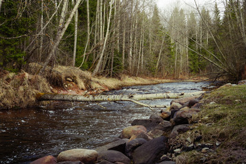 
fast river in a forest with a fallen tree across