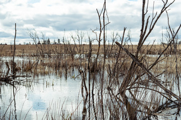 
swamp landscape in the background of a small town staraya ladoga