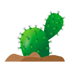 Isolated cactus icon