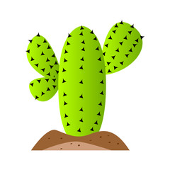 Isolated cactus icon