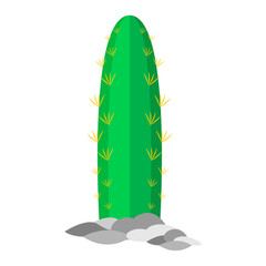 Isolated cactus icon