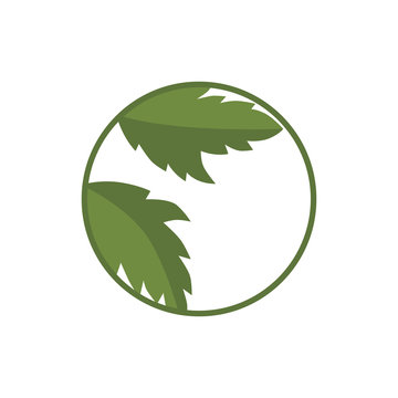 Stylized vector image of nettle leaves or house plants in a circle. Idea of ​​a sign, logo or icon for your business project.
