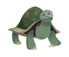 Cartoon cute turtle. Standing smiling happy snorkel tortoise, vector isolated tropical animal