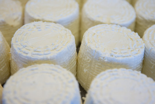 Queso fresco, fresh cheese.