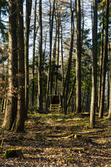 Obraz premium hunter high seat in the forest