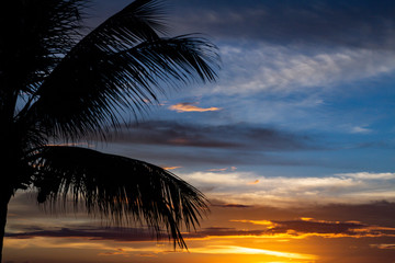Shocking sunset with some clouds in the sky. Silhouette of a palm tree with coconuts.