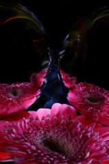 Lilac gerbera flower and its reflections on the surface of a mirror ball, as well as improvisation...