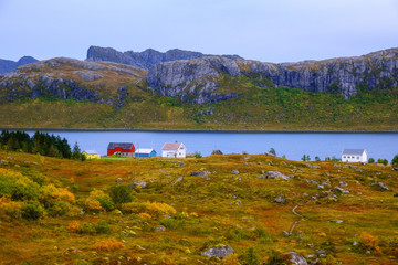 view of a village in norway, rorbu and fjords lofoten islands