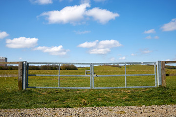 Fototapeta premium Metal farm gate on Newcastle town moor. Green grass and blue sky. Cattle livestock grazing, space for copy text.