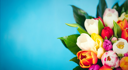 Colorful bouquet of tulips on blue background. Spring flowers. Greeting card with copy space for Valentine's Day, Woman's Day and Mother's Day. Top view