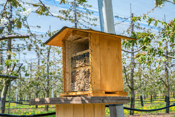 Insektenhotel auf einer Obstplantage zur Unterstützung der ökologischen Landwirtschaft im...