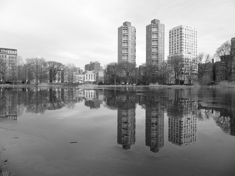 Harlem Meer Reflection 