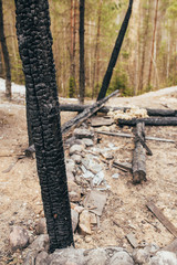 Fototapeta na wymiar Charred logs of a wooden building after a fire - fire fighting