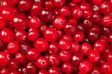 Cranberry background. Healthy food background. Top view