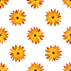 Seamless floral pattern. Decorative botanical background of rudbeckia flowers. Spring, summer design for textile, scrapbook, prints