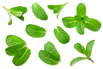Fototapeta premium Fresh mint leaves isolated on white background. top view