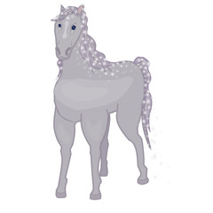 isolated image of a gray horse on a white background