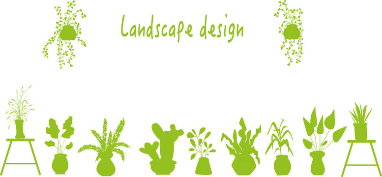 Home gardening. Plants at home. Plants in pots. Home flowers. Floristic background. Green potted flowers flat postcard.