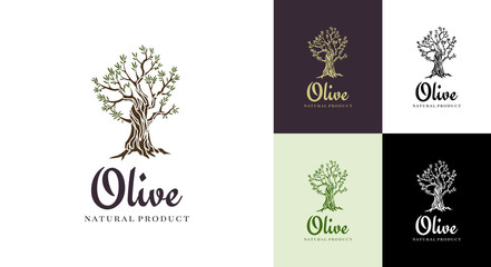 Elegant olive tree isolated icon. Creative olive tree silhouette. Logo design used for advertising products premium quality