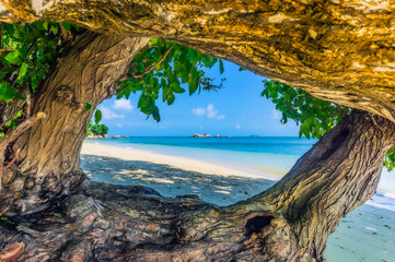 Indonesia, Bintan, Old tree trunks on tropical beach