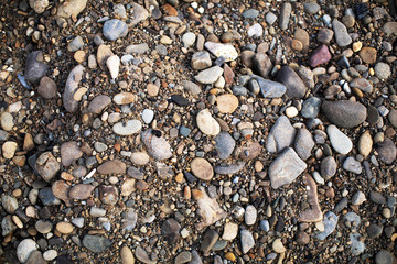 stones on the beach. Stone. Background. 
