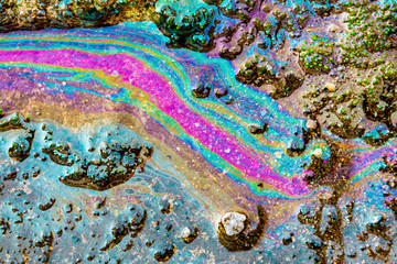 Petroleum spill on the ground. Bright colors. Pollution from cars and tractors. Toxic waste bad for...