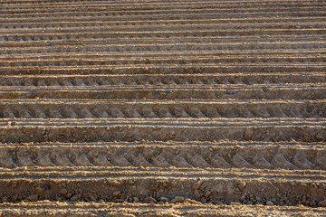 Furrows row pattern in a plowed field prepared for planting crops in spring