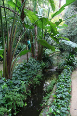 
Plants in a botanical garden