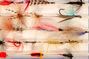 Top view of assorted wet and dry fishing flys