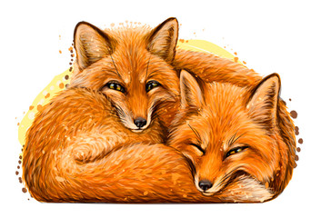 Little foxes. Wall sticker. Realistic, artistic, hand-drawn portrait of two cute smiling sleeping little foxes in watercolor style on a white background.