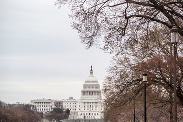 view of capitol building in downtown washington DC