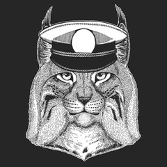 Lynx, bobcat, trot portrait. Sailor capitan hat. Head of wild cat. Animal face.