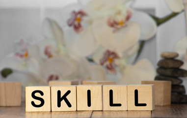 SKILLS word made with building blocks isolated on white